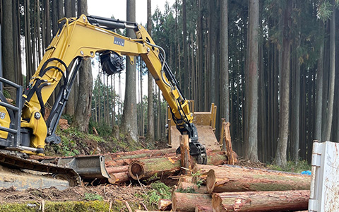 山林伐採風景写真